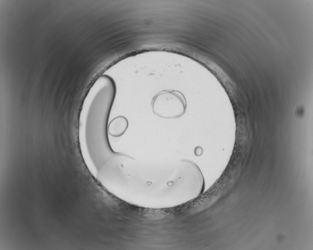 X0000116840807201001151246