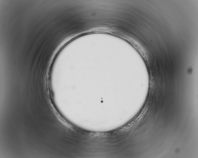 X0000116840808201001151246