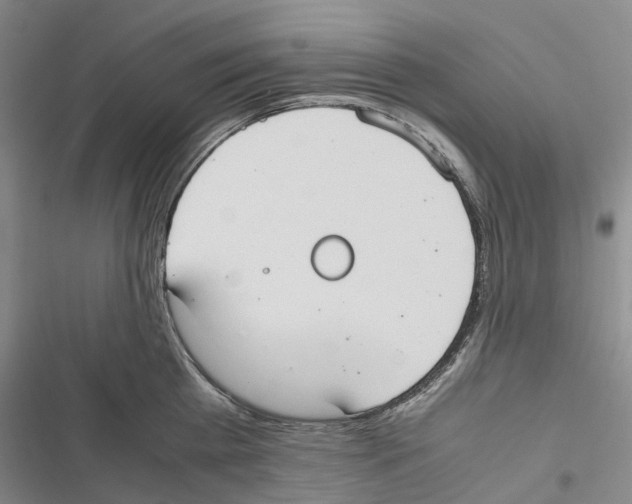 X0000116840809201001151246