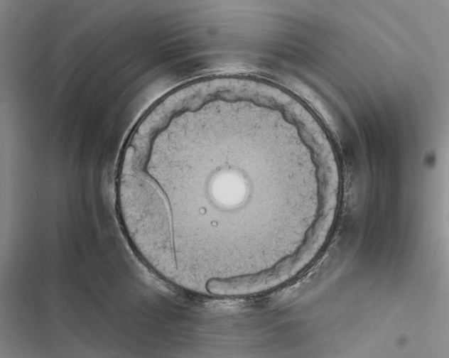 X0000116840810201001151246