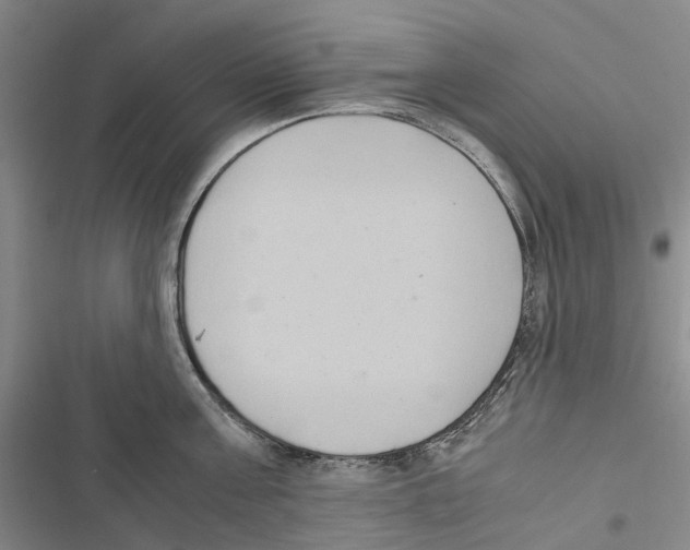 X0000116840811201001151246