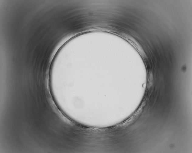 X0000116840812201001151246