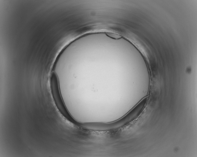 X0000116840813201001151246