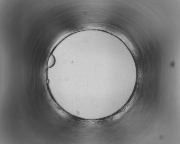 X0000116840814201001151246