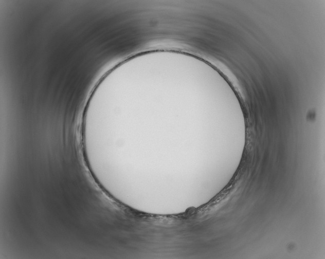 X0000116840815201001151246