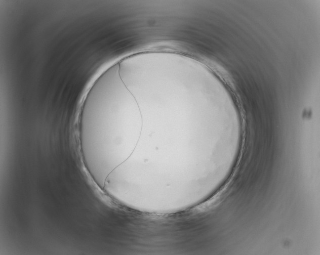 X0000116840816201001151246