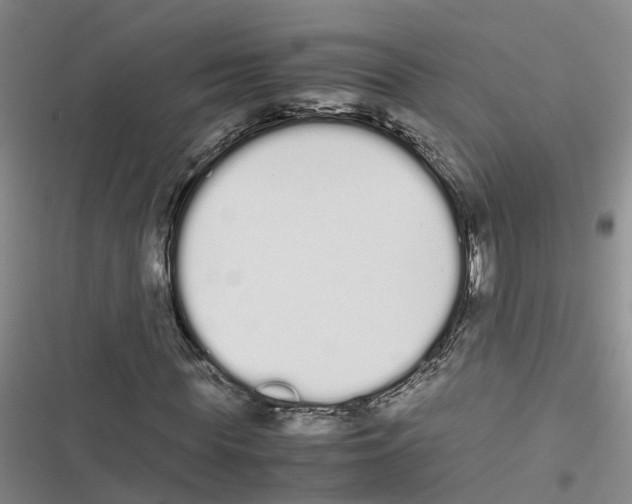 X0000116840819201001151245