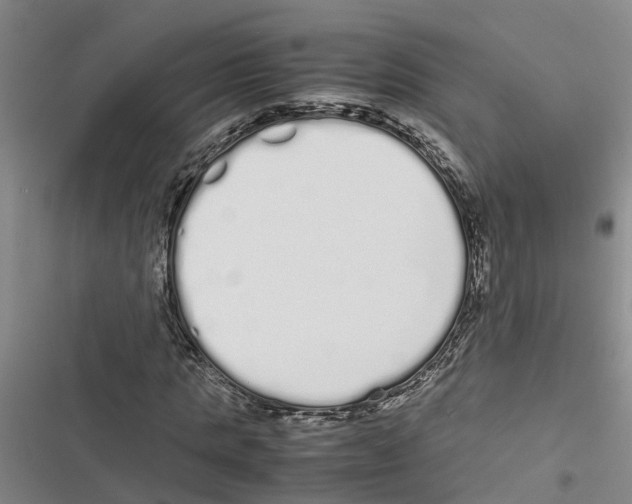 X0000116840821201001151245