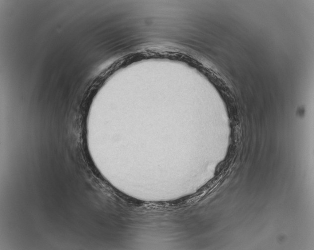 X0000116840822201001151245