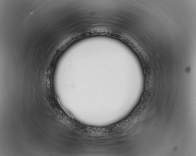 X0000116840823201001151245