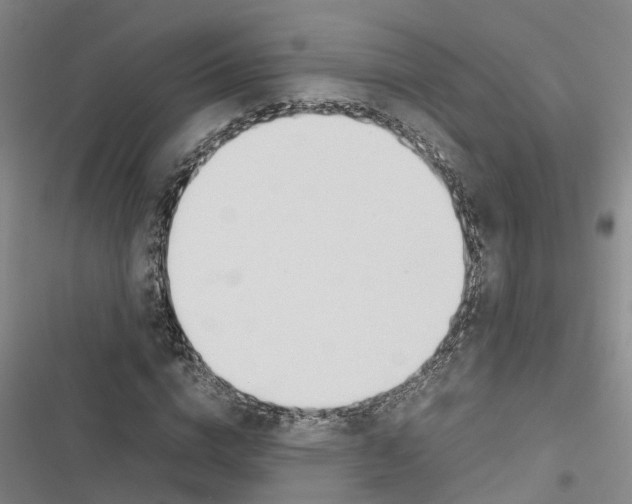 X0000116840824201001151245