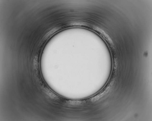 X0000116840825201001151245