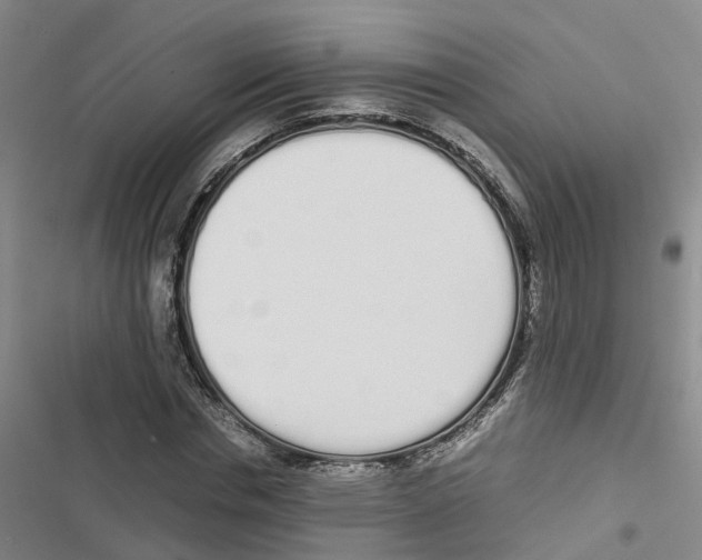 X0000116840826201001151245