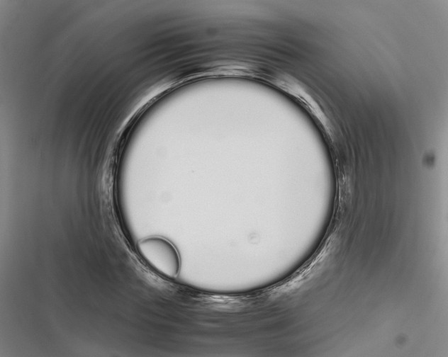 X0000116840827201001151245