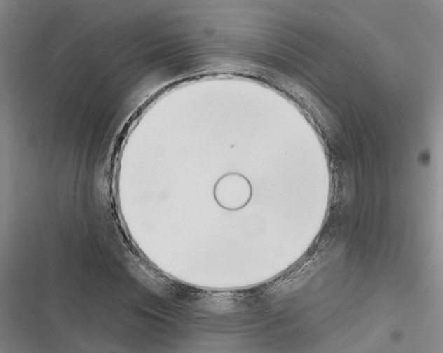 X0000116840828201001151245