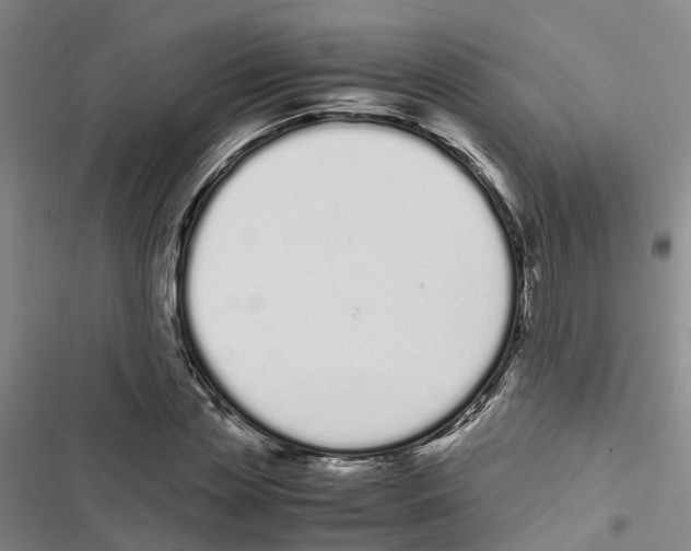 X0000116840829201001151245