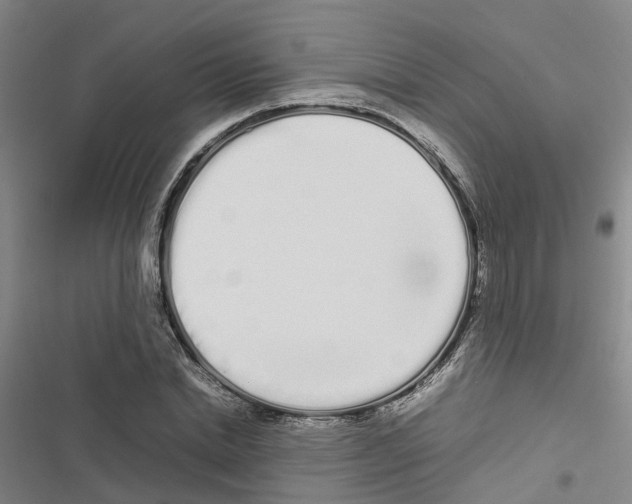 X0000116840830201001151245