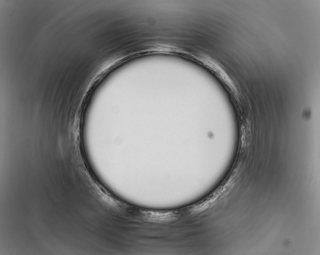 X0000116840831201001151245