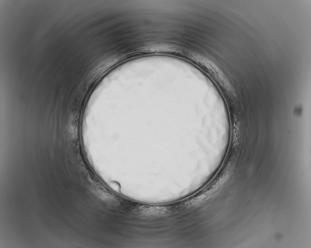 X0000116840833201001151245