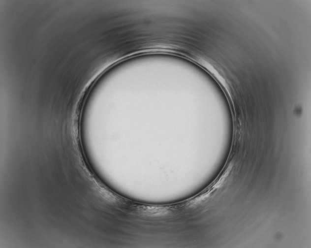 X0000116840835201001151245