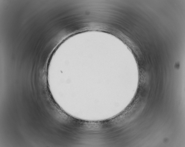 X0000116840836201001151245