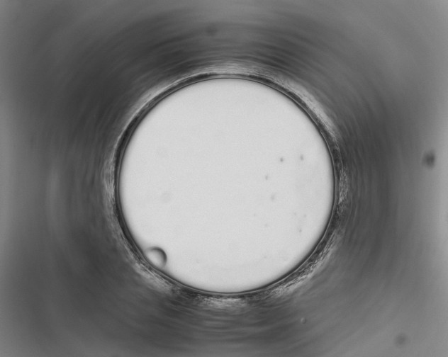 X0000116840837201001151245