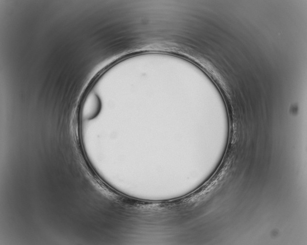 X0000116840838201001151245