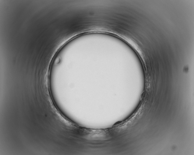 X0000116840839201001151245