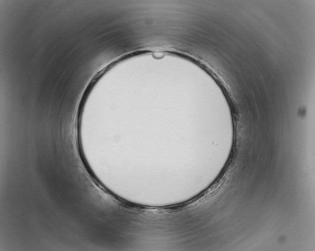 X0000116840840201001151245