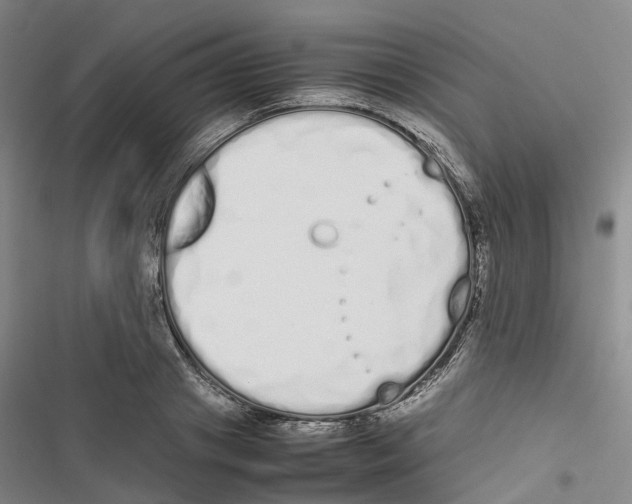 X0000116840841201001151245