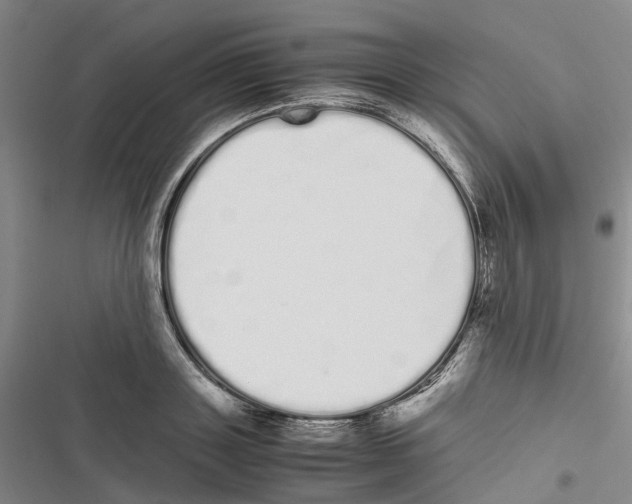 X0000116840843201001151245