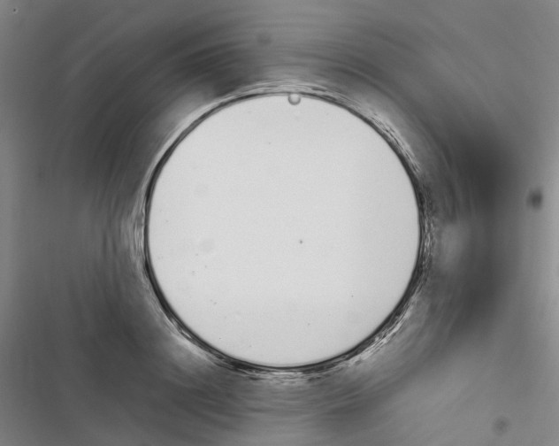 X0000116840844201001151245