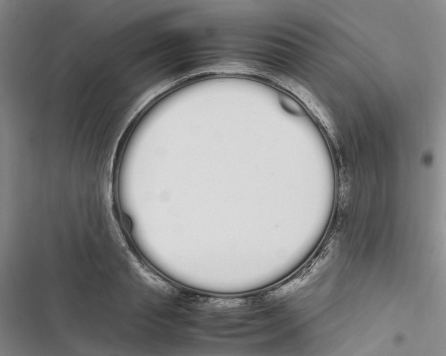 X0000116840845201001151245