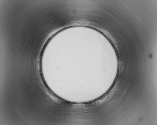 X0000116840846201001151245