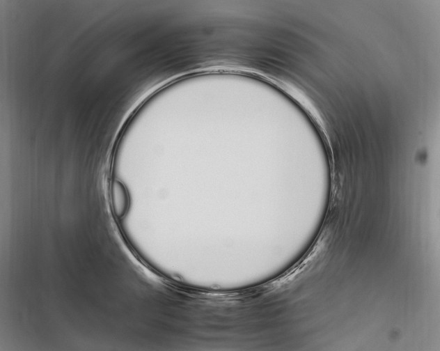 X0000116840847201001151245