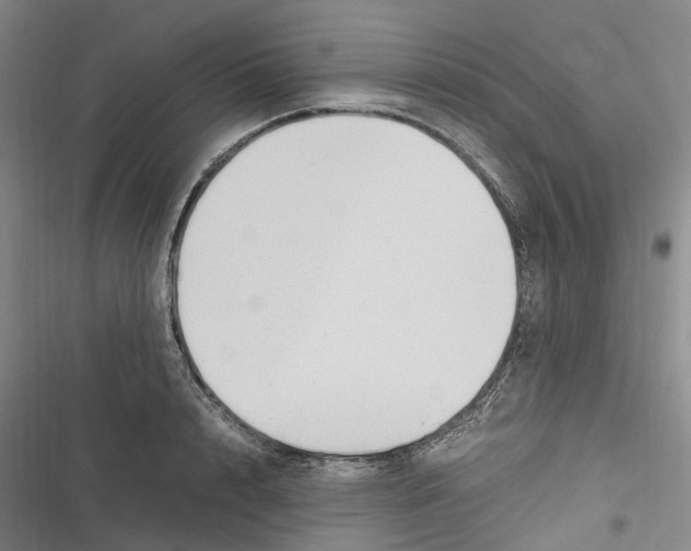 X0000116840848201001151245