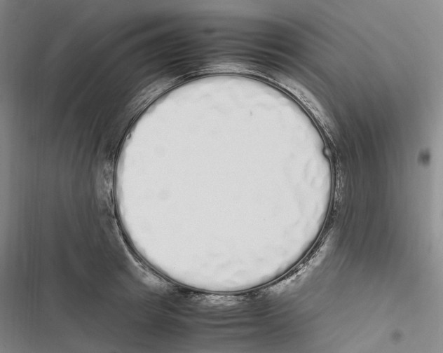 X0000116840849201001151245