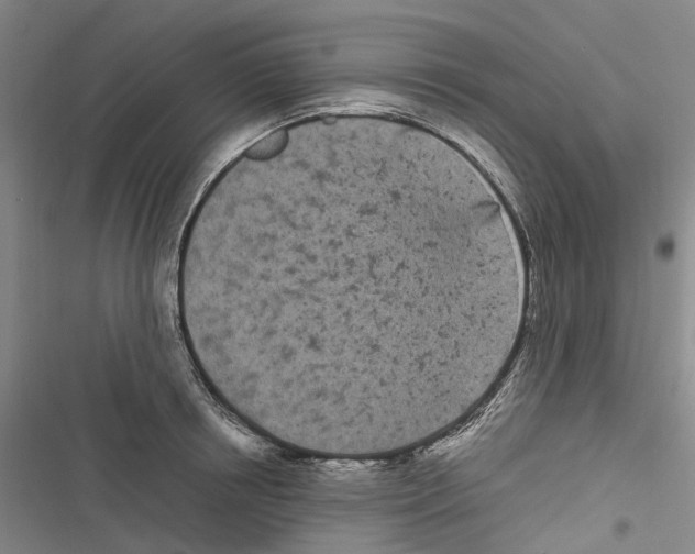 X0000116840850201001151245