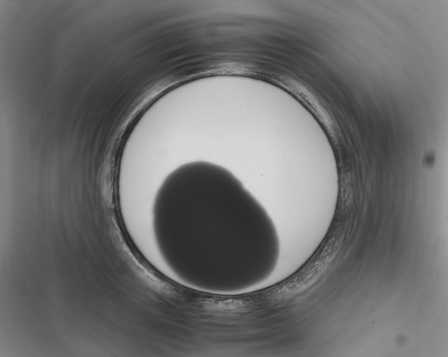 X0000116840851201001151245