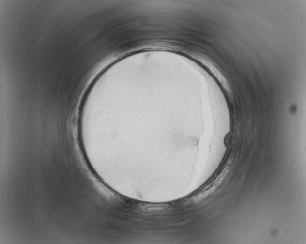 X0000116840853201001151245