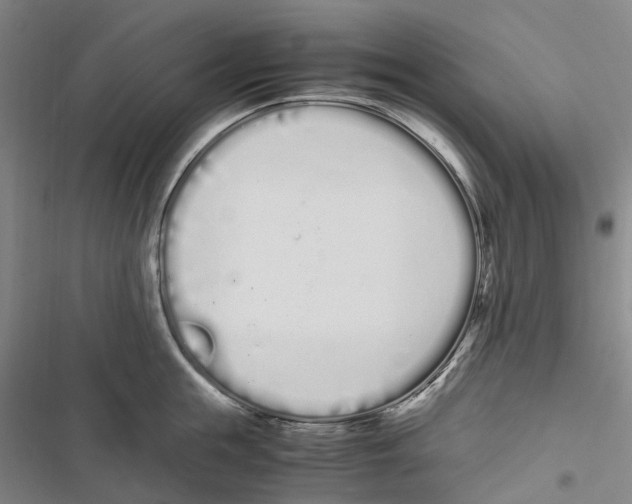 X0000116840855201001151246