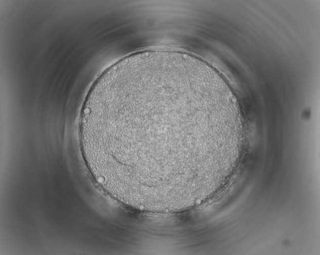 X0000116840856201001151246