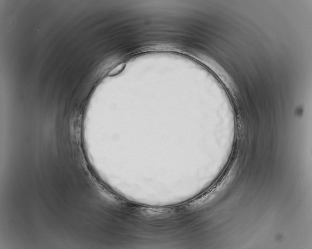 X0000116840857201001151246