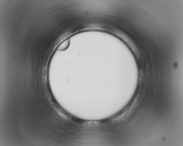 X0000116840858201001151246