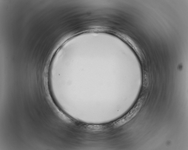 X0000116840859201001151246