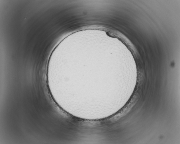 X0000116840860201001151246