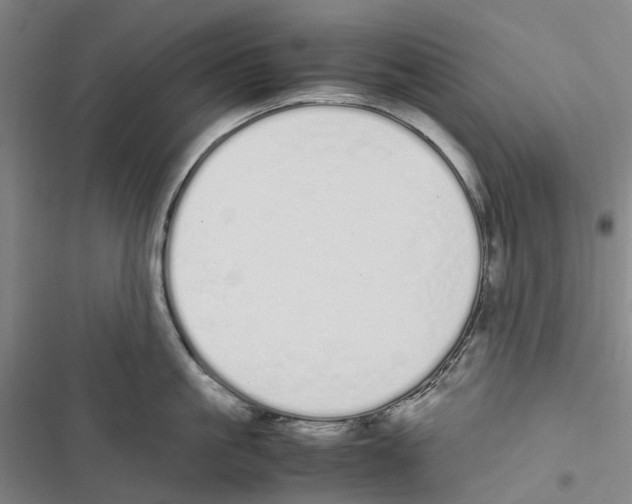 X0000116840861201001151246