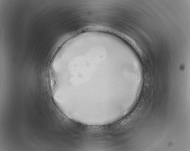 X0000116840863201001151246