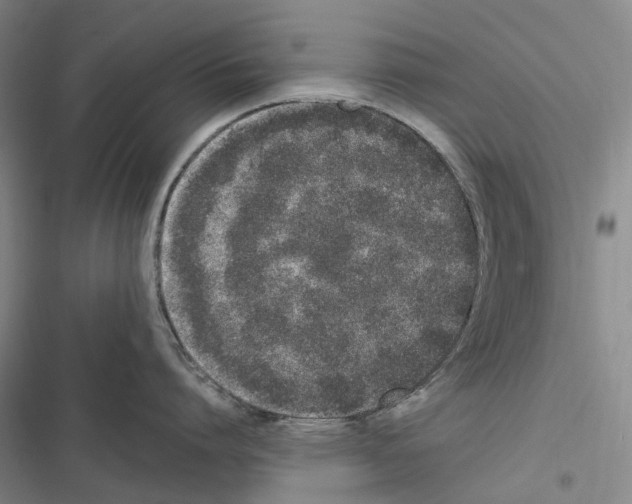 X0000116840864201001151246