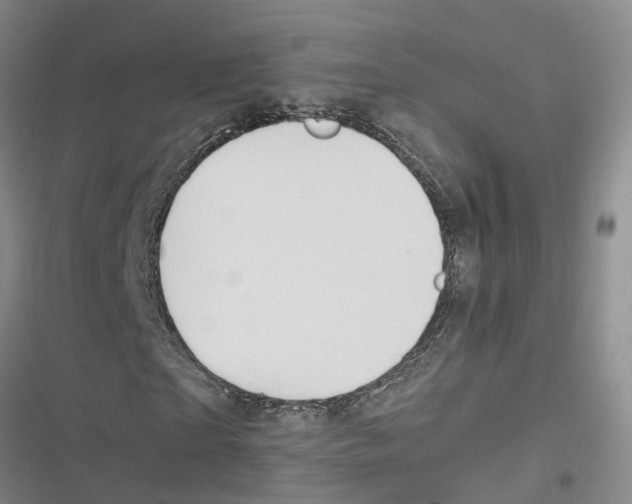 X0000116840865201001151245